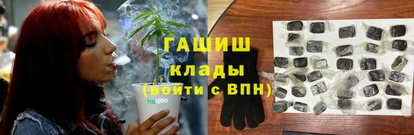 сатива Баксан