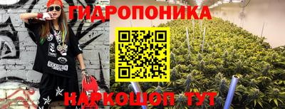 дмт Ачхой-Мартан
