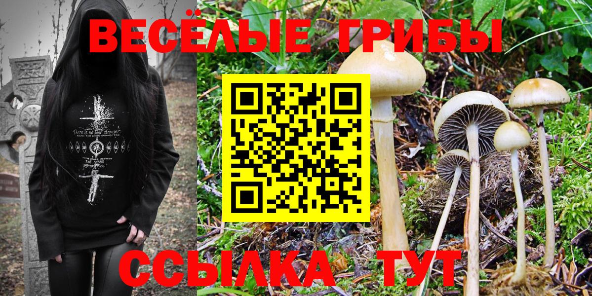 Псилоцибиновые грибы Cubensis Радужный